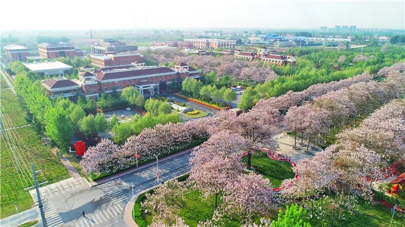 兰考到考城班车时间表,兰考考公