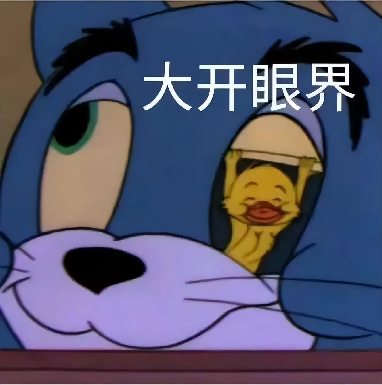 夏天微胖连衣裙,小个子120-150斤微胖连衣裙