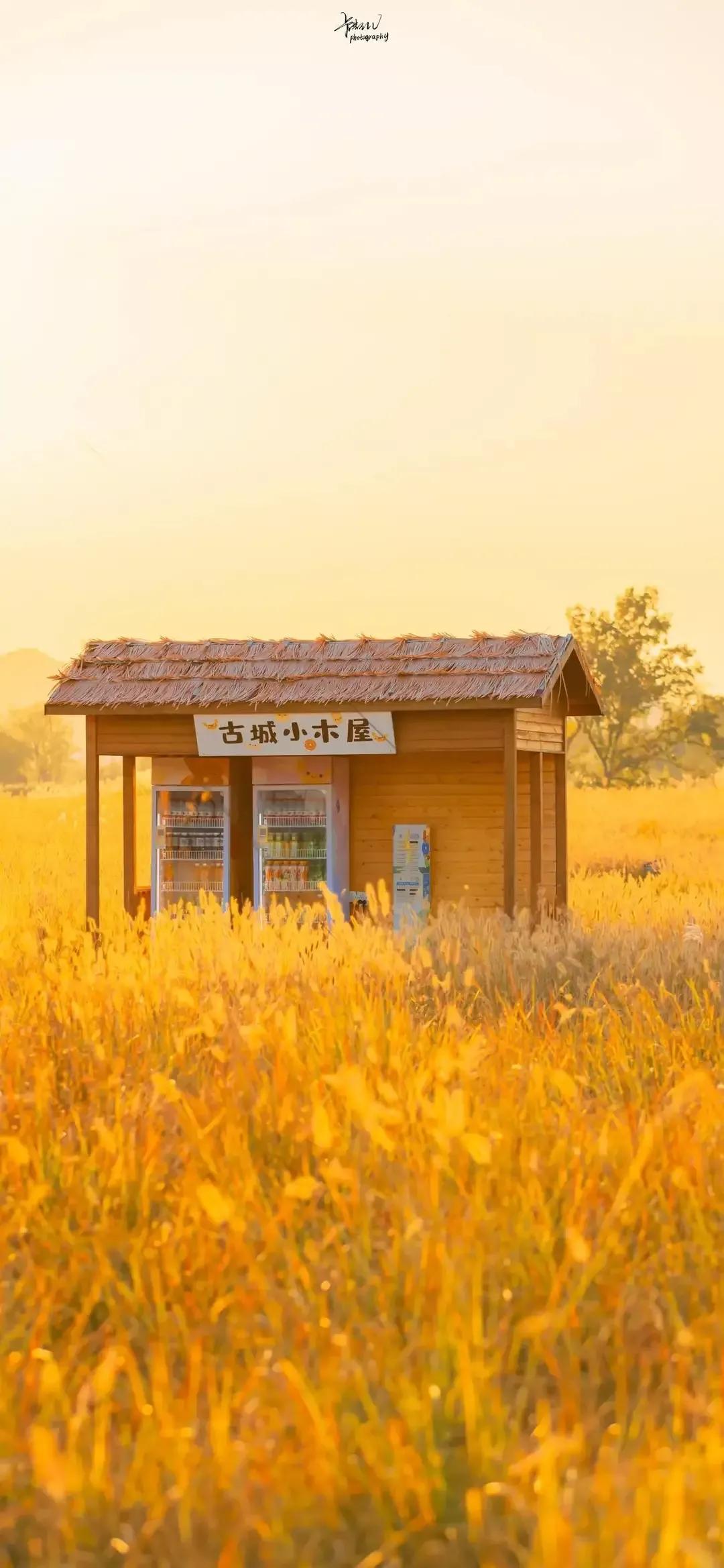 歼20高清壁纸4k全屏无水印,精选壁纸高清无水印高级感