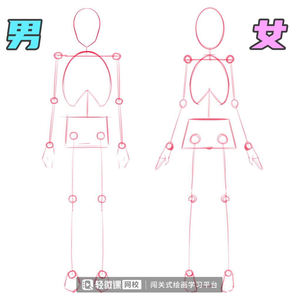 如何画人体结构动漫人物,漫画人体结构怎么画好看