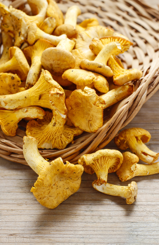 鸡油菌产在云南还是东北,云南鸡油菌行情