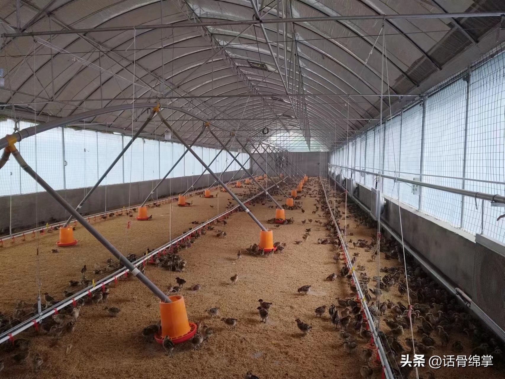 姹熸补骞虫鑱斿姩鍙戝睍,缁甸槼姹熸补鍗忓悓鍙戝睍