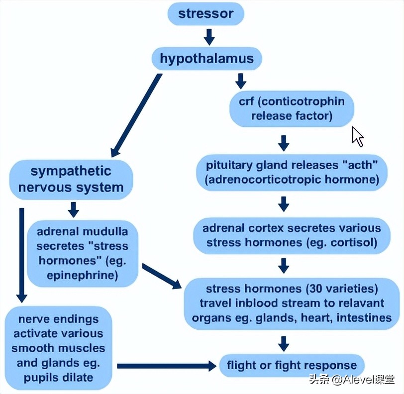 心理学a-level选什么,a-level心理学好学吗
