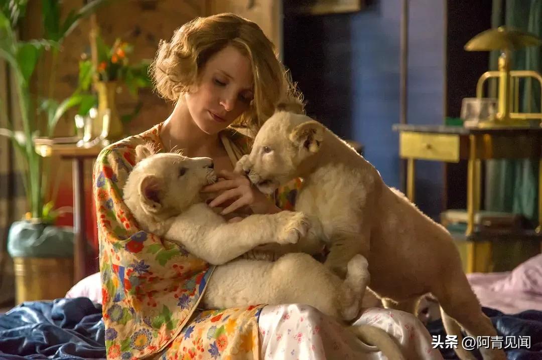 劳模姐杰西卡查斯美剧,杰西卡查斯坦为什么叫劳模姐