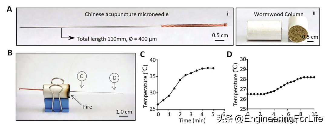 妙！微球嵌微针，一篇AFM
