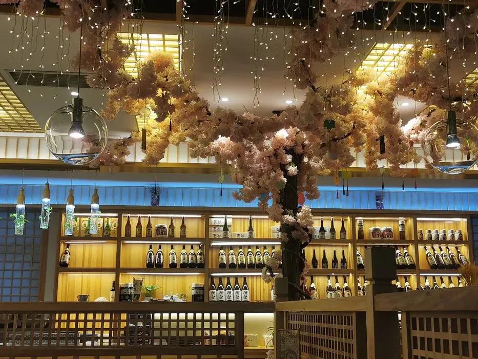 陪闺蜜打卡日料店,我的闺蜜我来宠