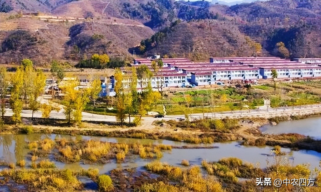 乡村振兴策划规划方案,乡村振兴策划规划设计方案