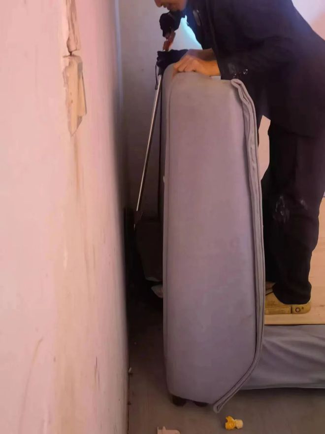 农户家中惊现两米长剧毒眼镜王蛇,发现剧毒的眼镜王蛇需要怎么处理