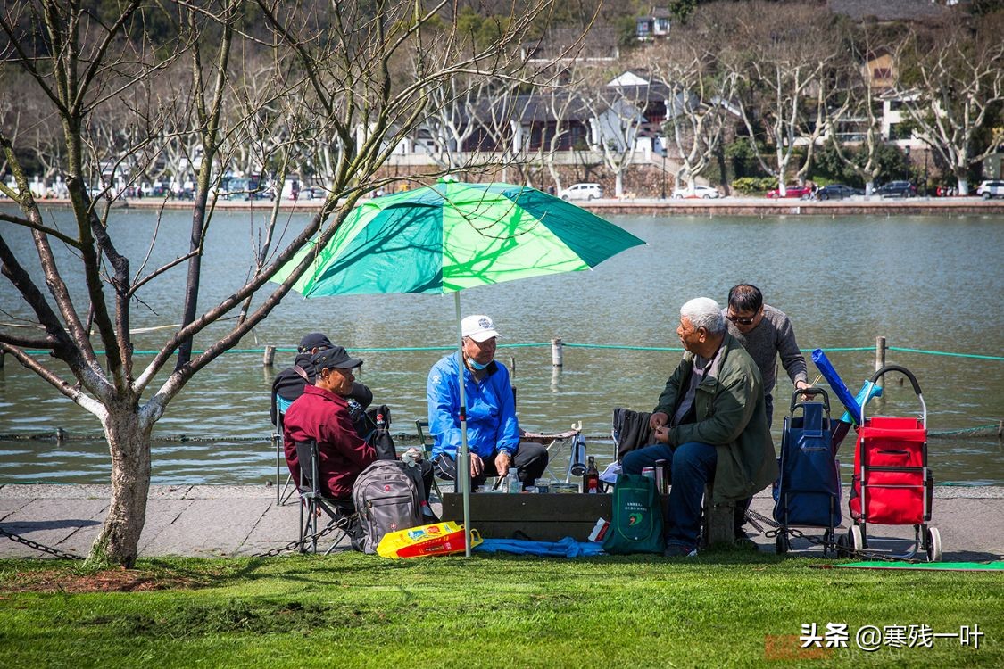 11月份的杭州西湖哪里最美,杭州西湖最佳攻略