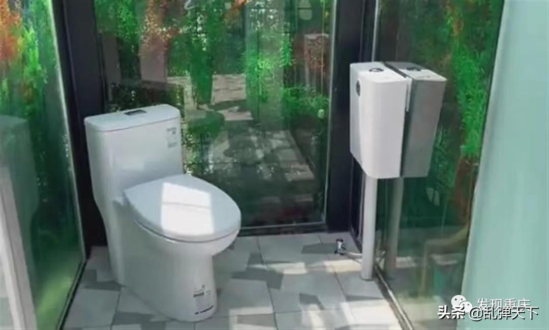 秋千厕所？重庆这种脑洞大开的“创意”成了丢人现眼的“宝气”