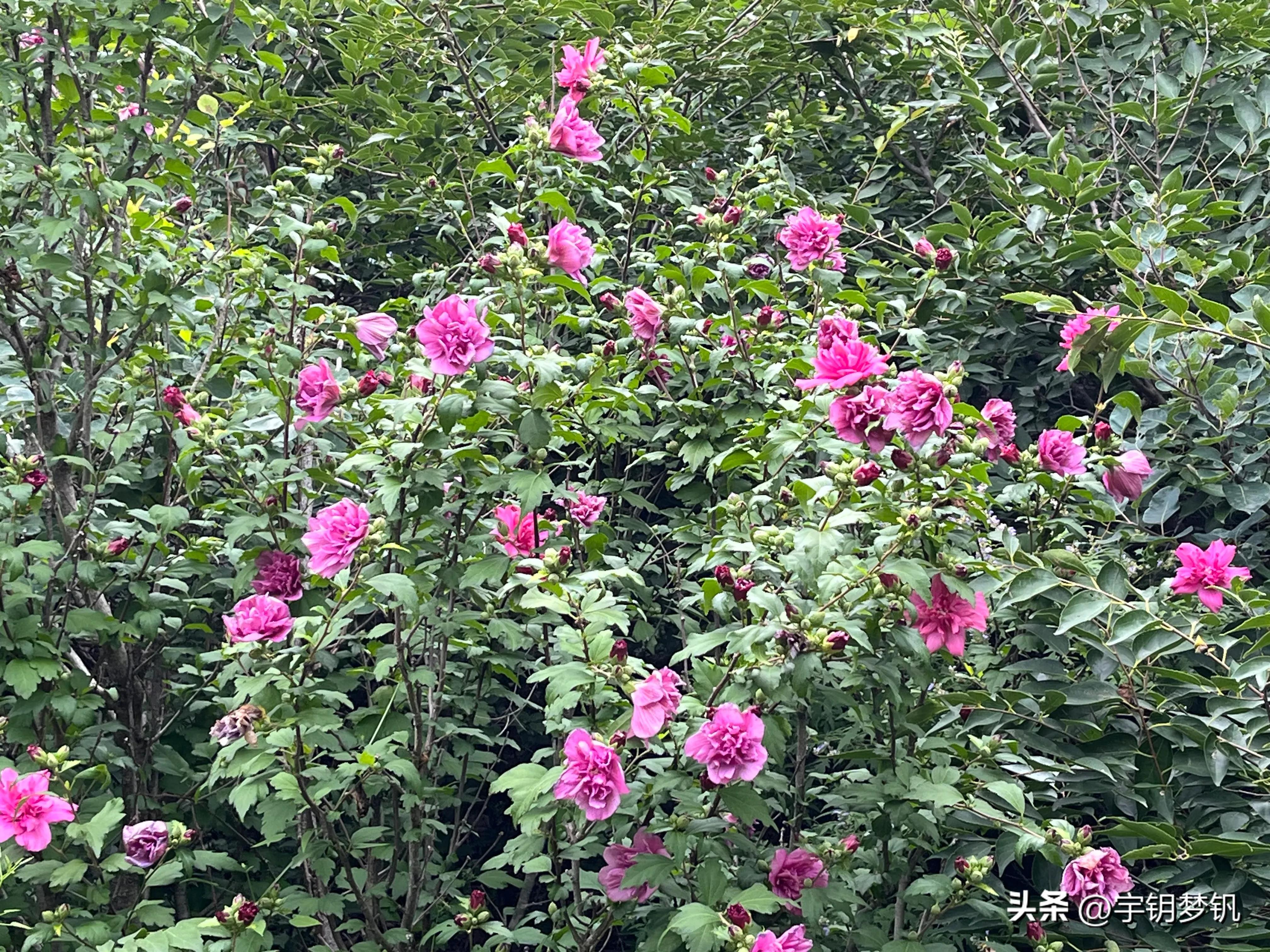 这天爬泰山要穿什么,这天爬泰山