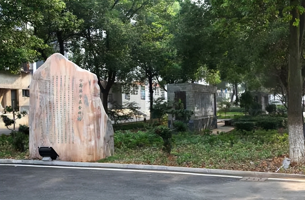 常德张陆刘阳,张陆和刘阳是同班同学吗