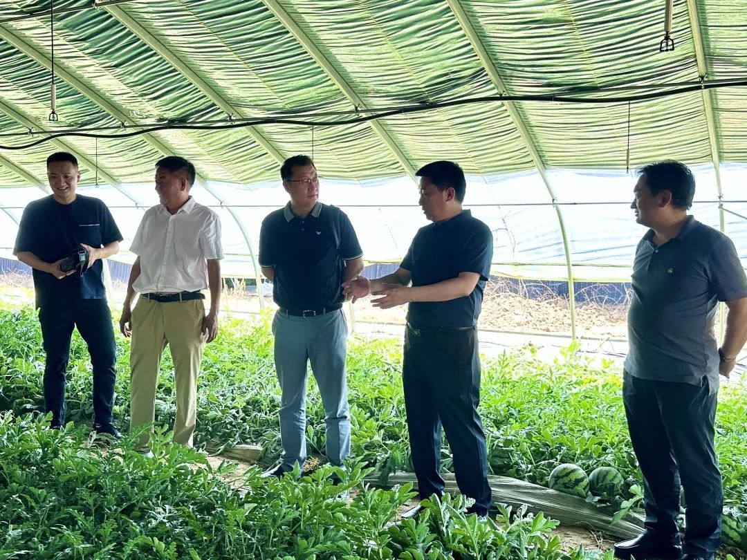 镇街部门一把手,武清区各区镇一把手