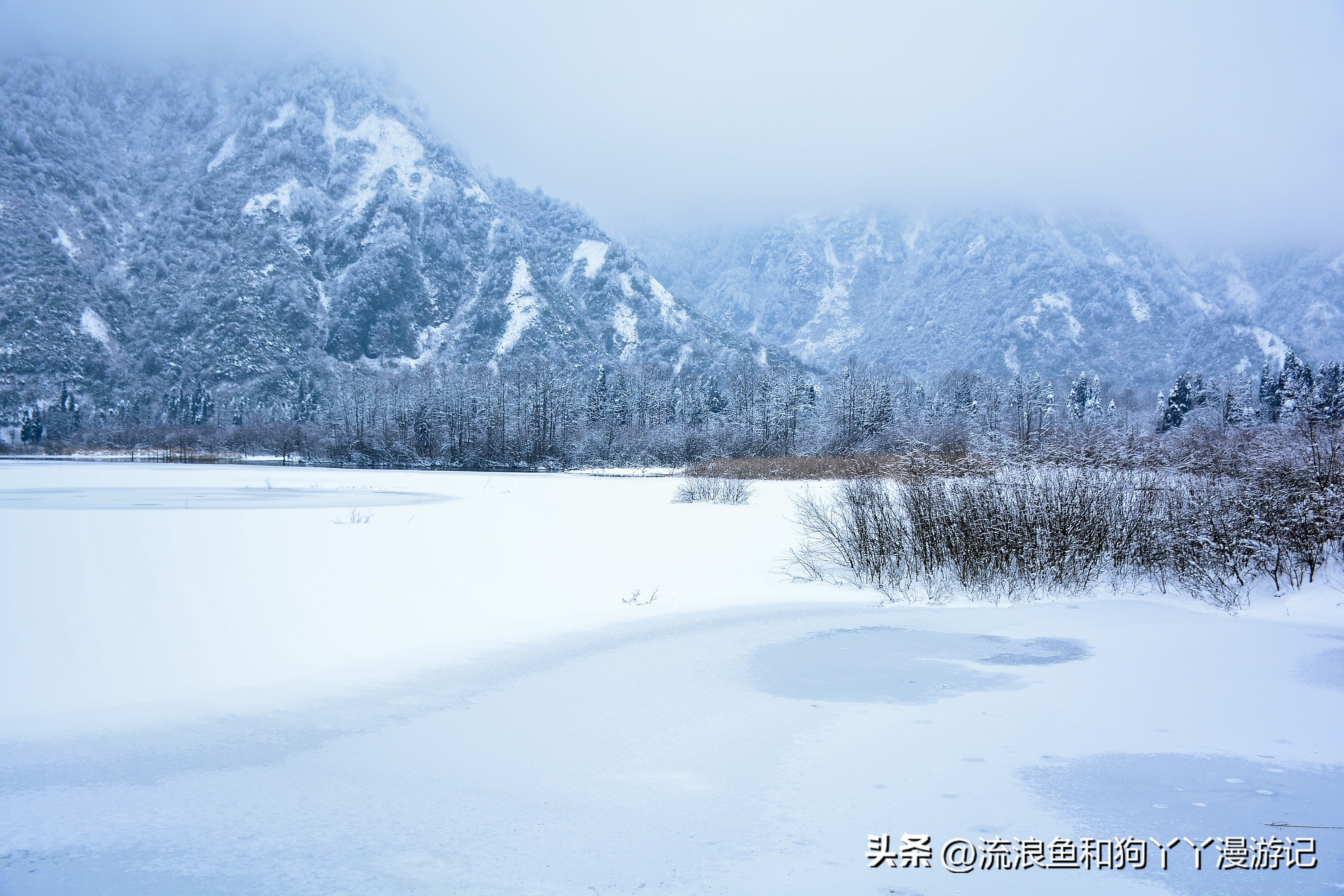 四月份成都近郊一日游好去处,2022成都近郊看雪一日游最佳去处