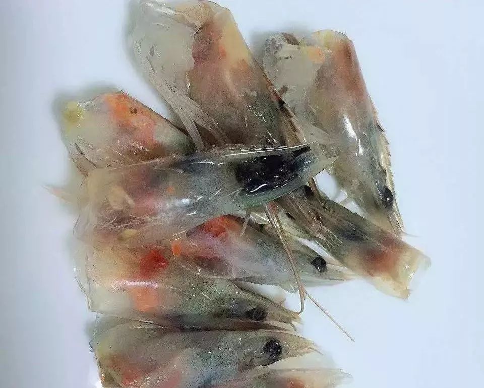 虾的背上黑线能吃吗,虾背上的那个黑线能吃吗