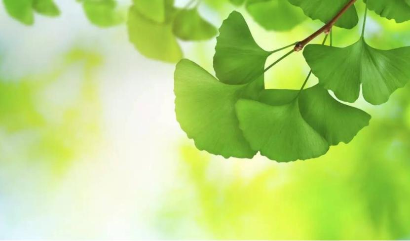 夏季皮肤病高发，反反复复，太磨人了！京城名医有何妙法？