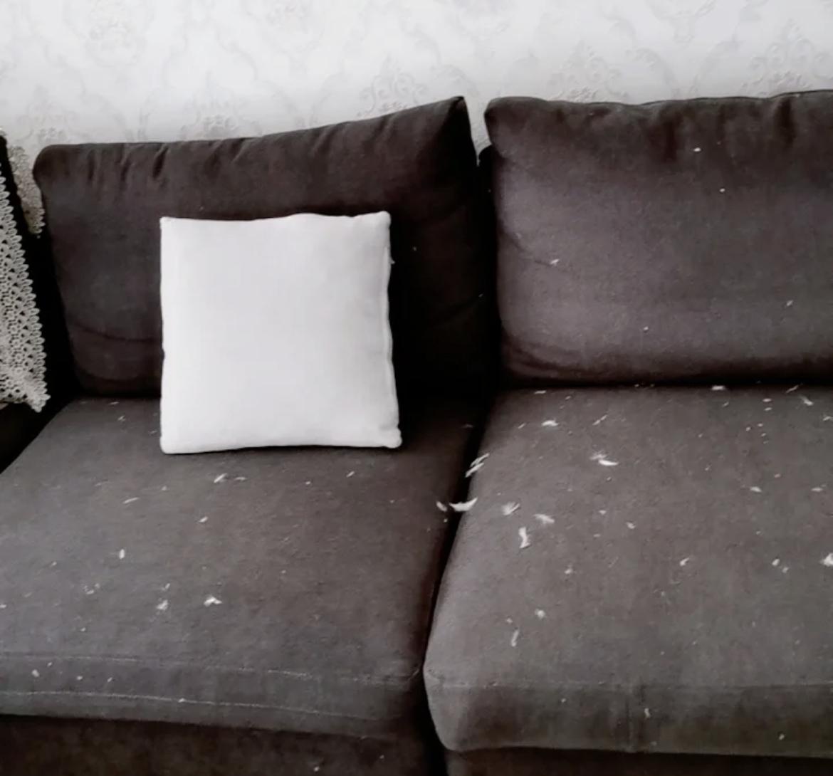 各种沙发的优缺点对比分析,6种沙发正在被淘汰别再买了