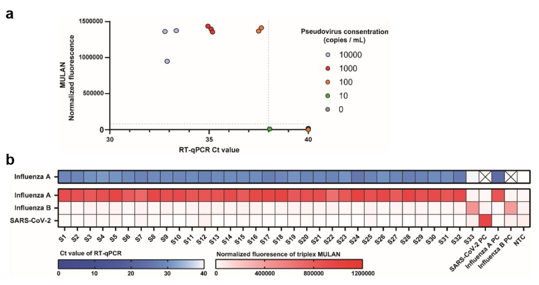 具有自主知识产权的新型基因编辑病毒核酸快速诊断技术平台