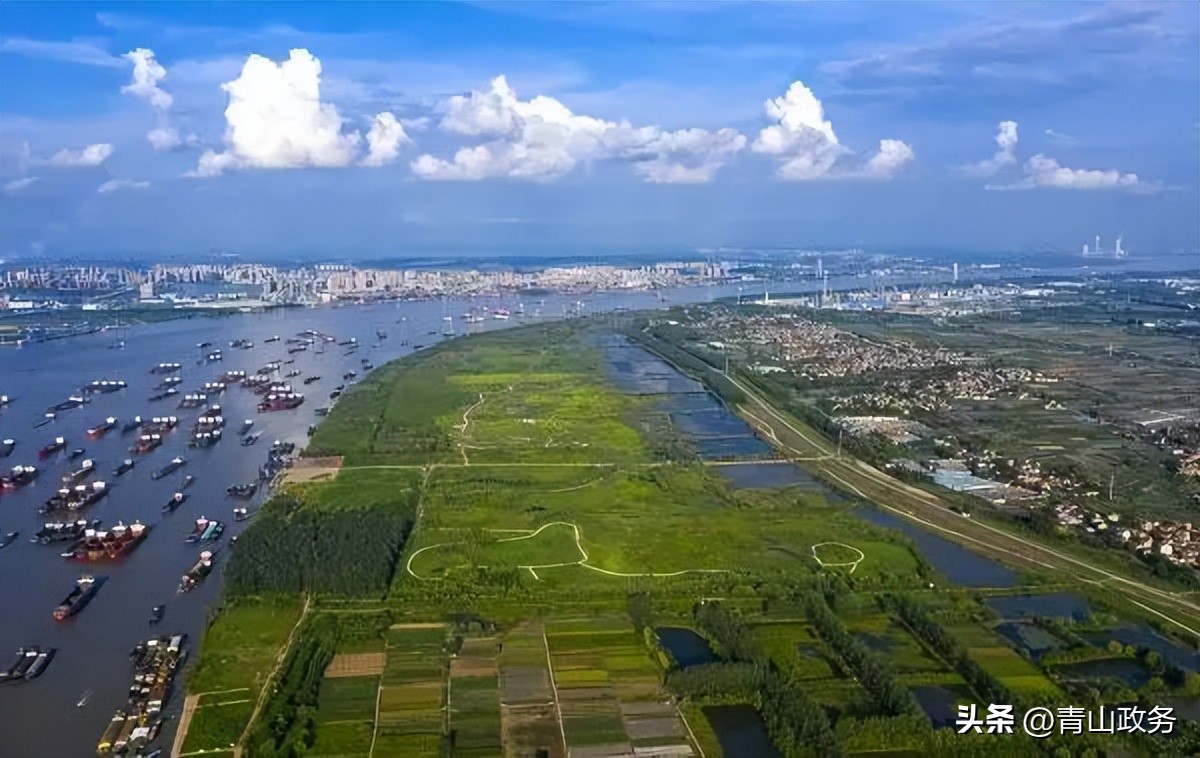 助力我市碳达峰行动落地,碳达峰金融