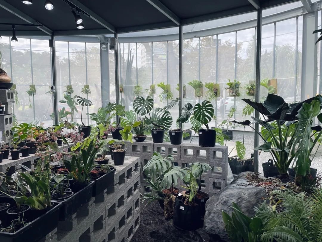 公园商业中心设计,公园创意商业街区空间设计