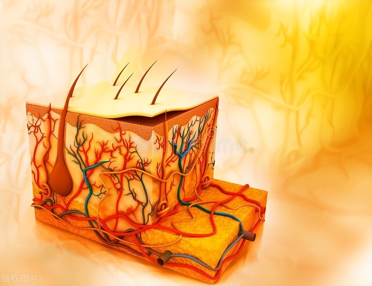 鼻子上的顽固黑头挤不出来怎么办,鼻子上的黑头一直不挤会怎么样