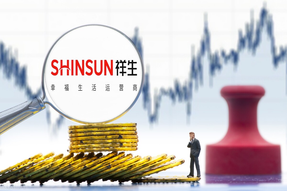 祥生控股的现状,祥生控股集团业绩