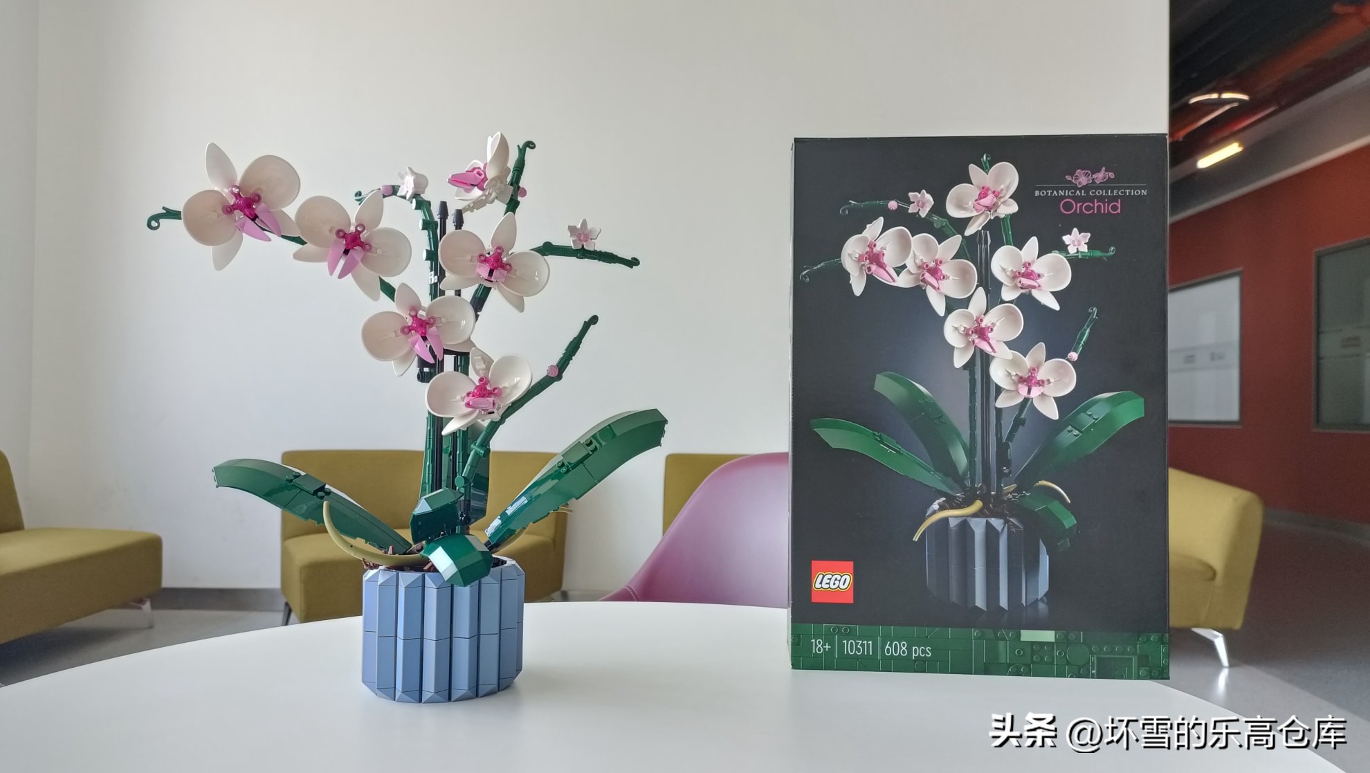 乐高兰花图片及价格,乐高兰花测评