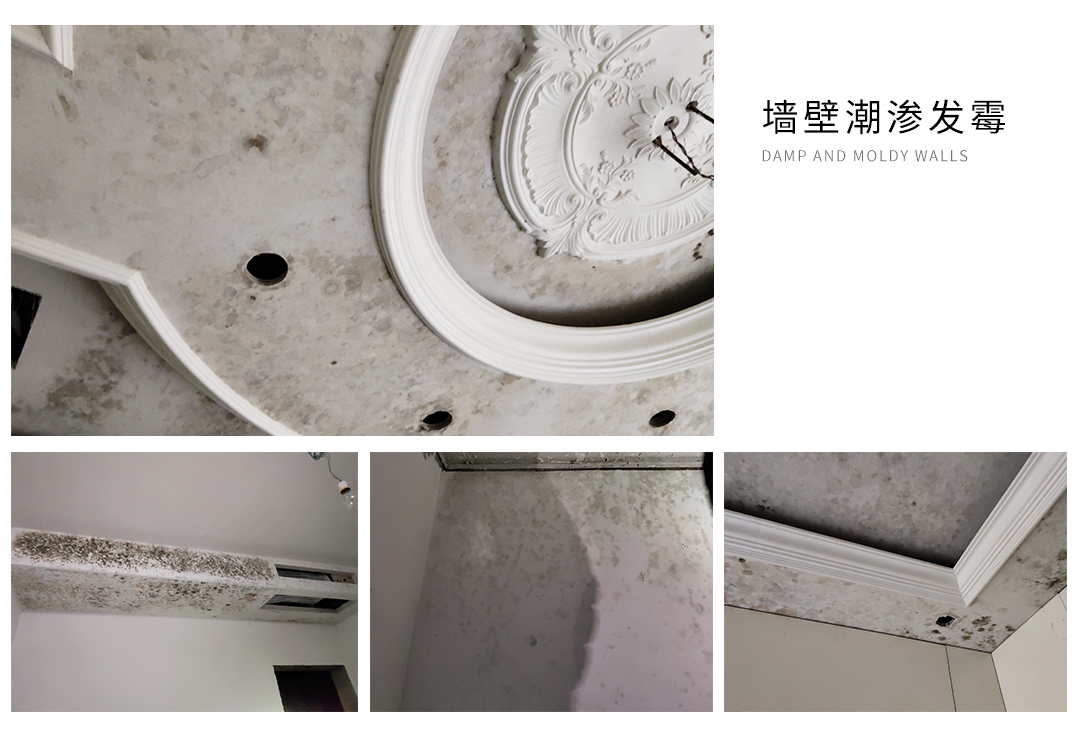 地下室潮湿又发霉怎么解决,地下室潮湿发霉装排气扇