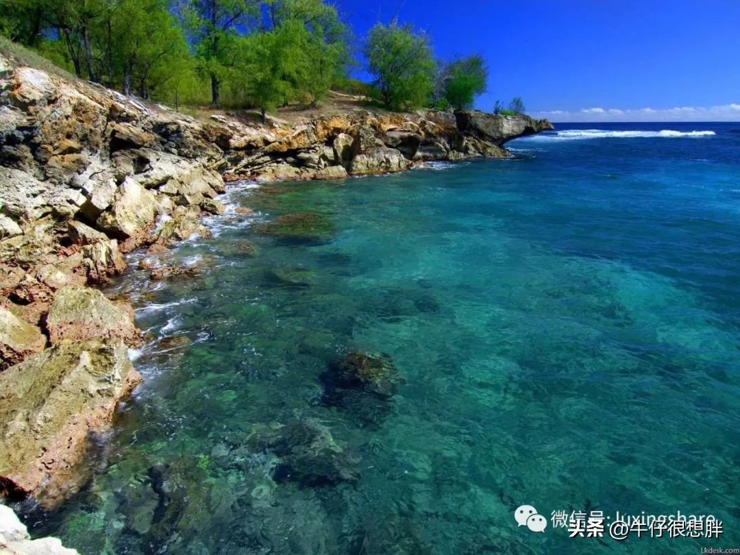 带上这篇夏威夷大岛旅游攻略，去火山一探究竟