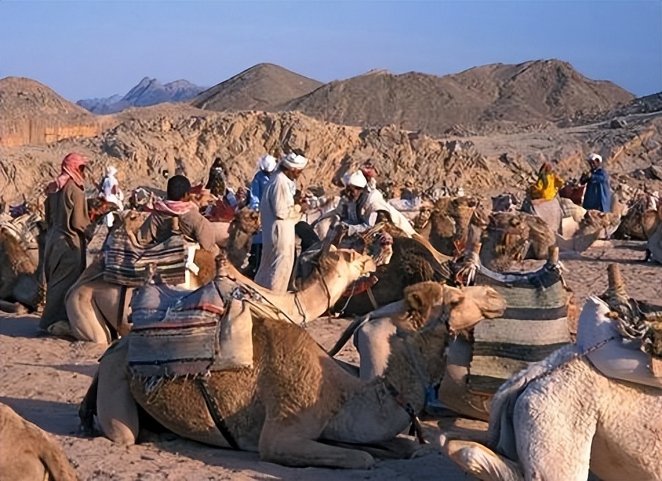 贝都因王朝的统治下,对阿拉伯、非洲和地中海地区有怎样的影响？