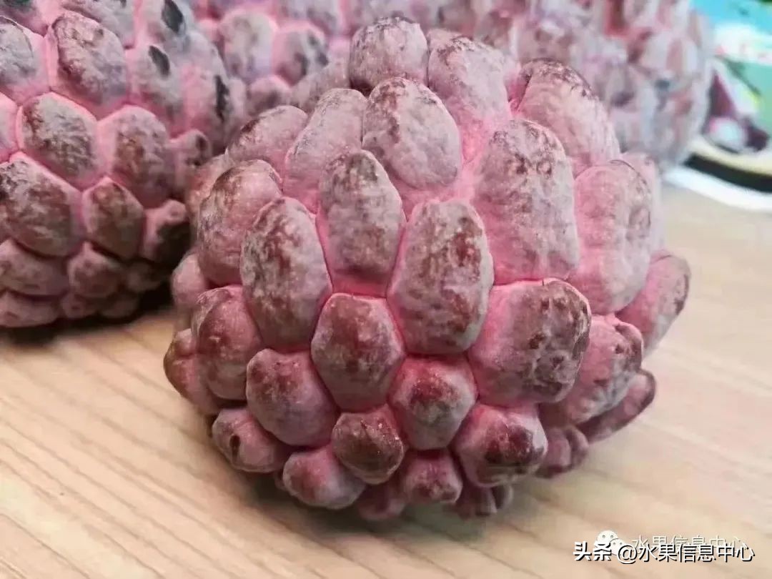 榴莲释迦又叫什么,释迦图片高清大图