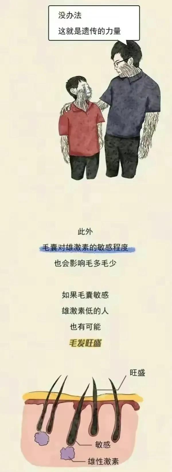 男人的毛发旺盛代表什么,体毛多的男人是雄激素旺盛吗