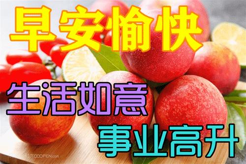 朋友关心问候语暖心感动的句子,问候祝福朋友开心快乐的温馨句子