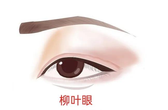 男人常见的眼型测试,常见好看的眼型