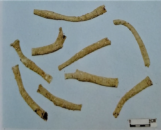 三七和金不换是一样的吗,金不换和三七是同一种中药吗