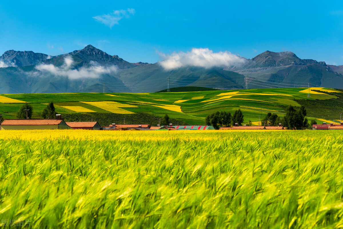 自驾哪里最好玩中国十大自驾游,自驾游5大经典路线自驾游攻略