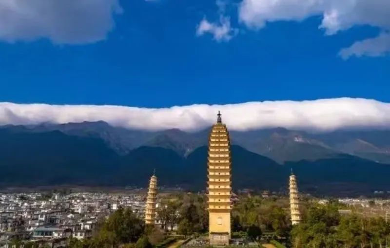 每日一景旅游景点,每日一景樱花烂漫