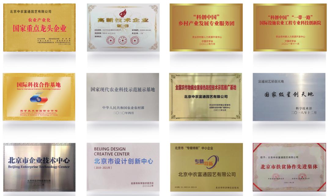 农业技术大讲堂之番茄的种植技术,连云港番茄无土栽培