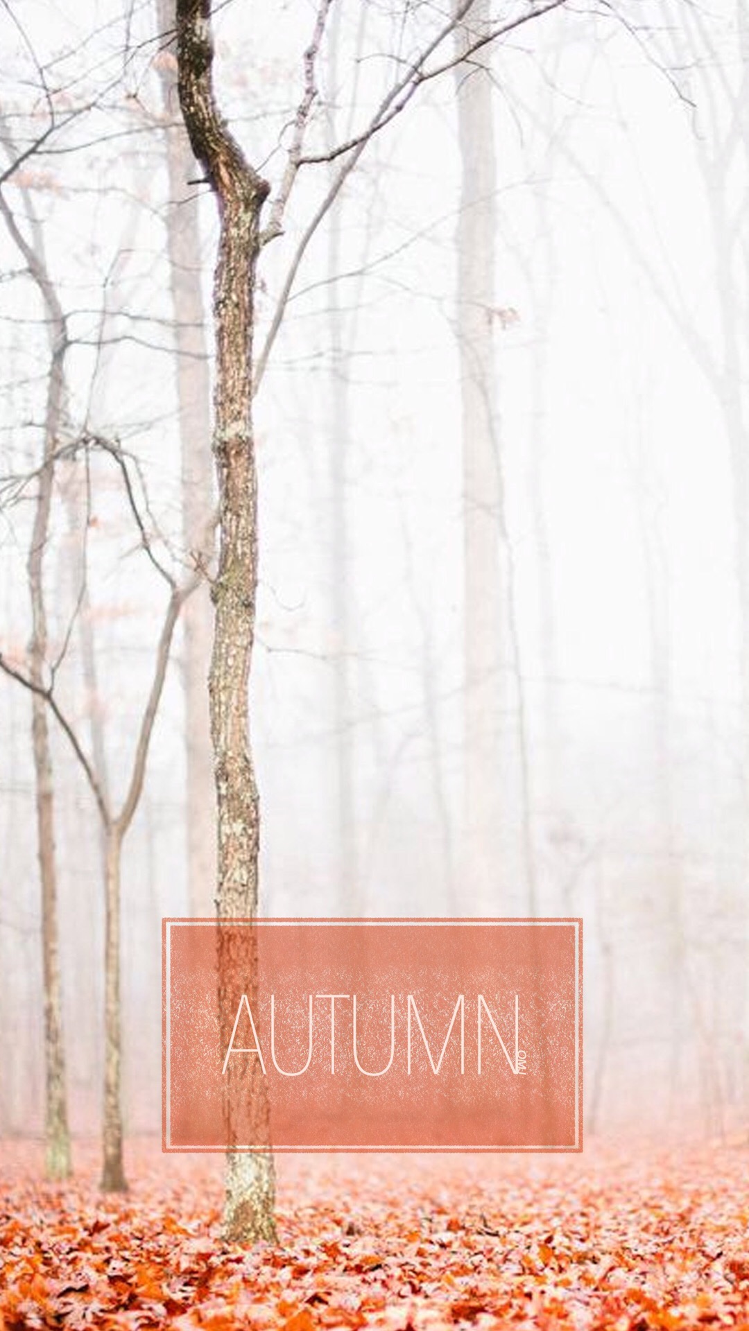 浅色壁纸高清图片花,超仙闺蜜壁纸动漫紫色和粉色