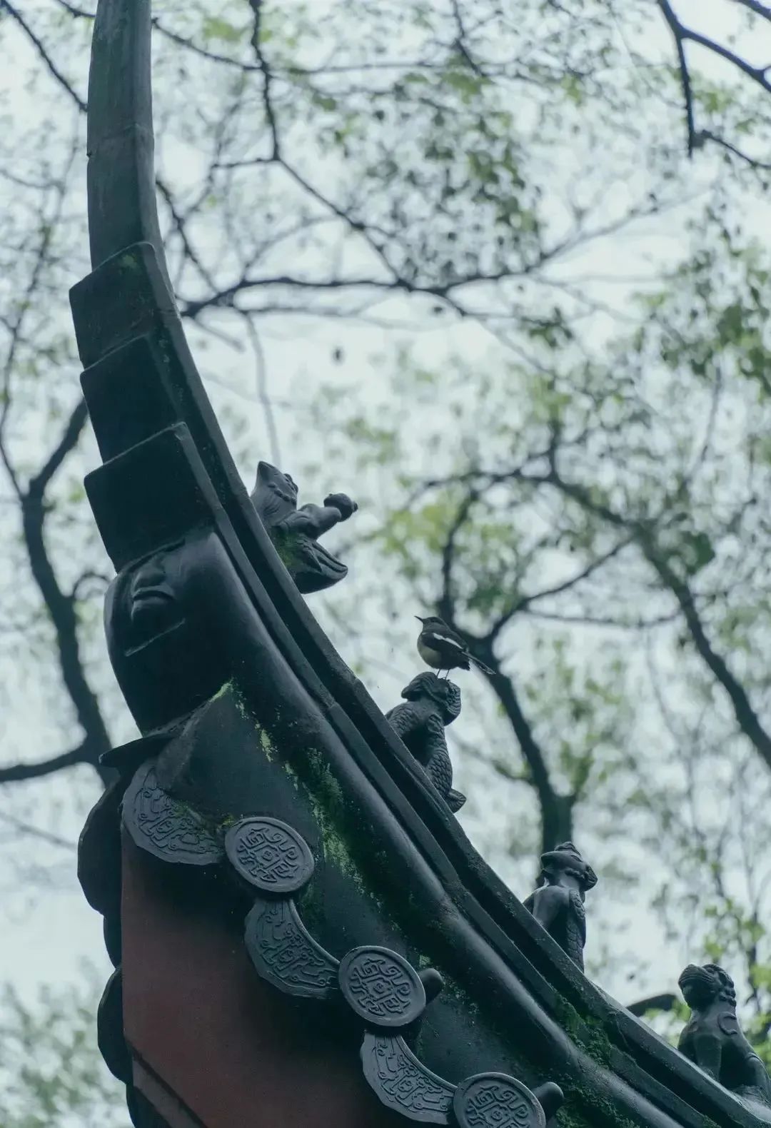 马一浮复兴书院,马一浮讲一代儒宗