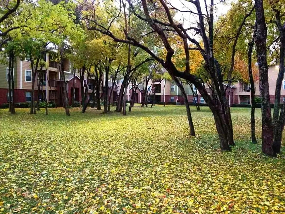 赴美治癌3000天,赴美就医最高花费多少钱