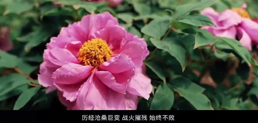 春风吹暖就业季绽放民生幸福花,春暖花开经济