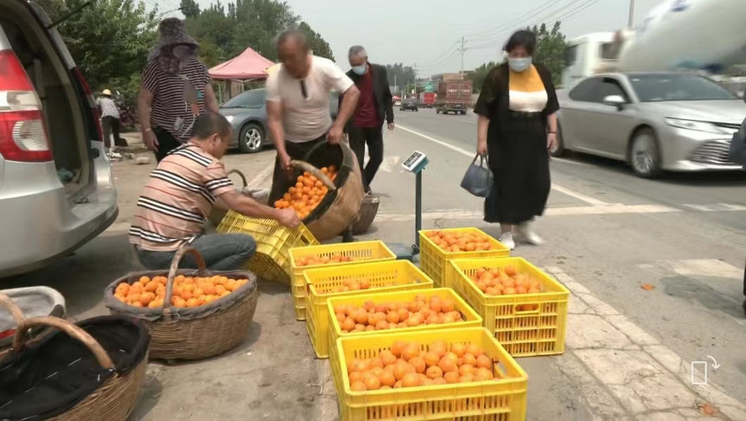 特色果业优质化发展,特色果业新政策