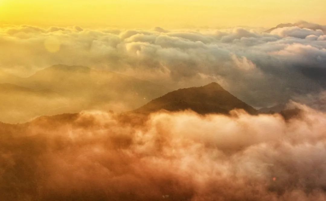 亲近春天，爬山正当时！温州这些绝美山峰快快约起！