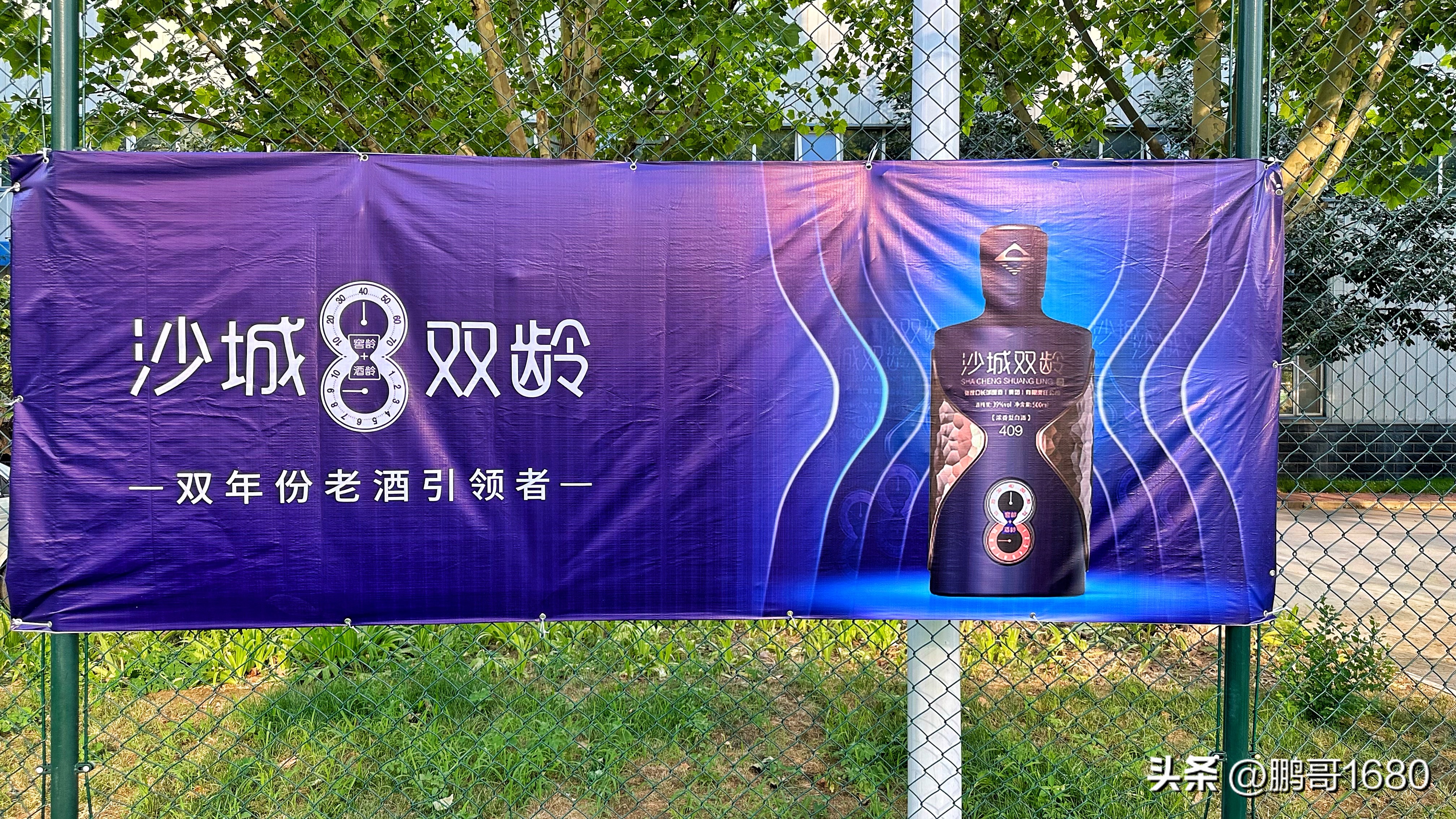 沙城老窖活动现场,沙城杯篮球赛