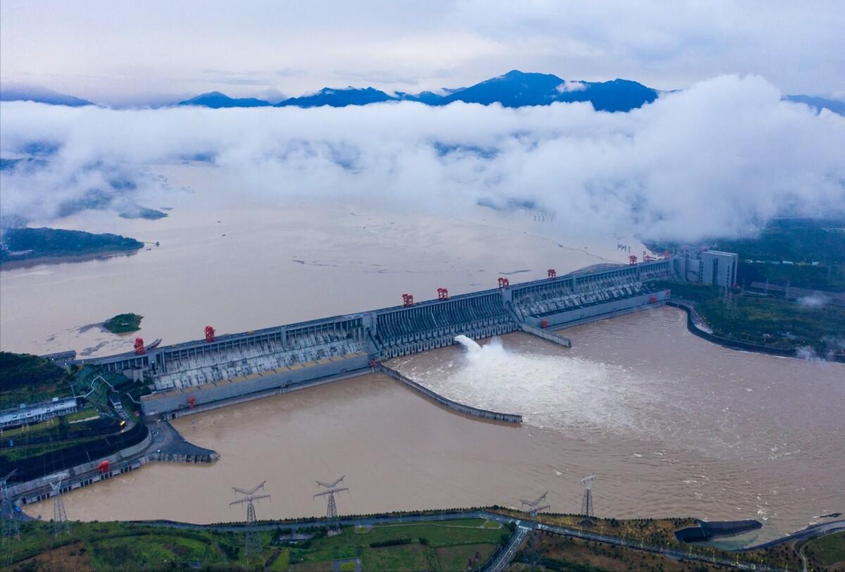 长江野生鲥鱼还有没有,现在长江鲥鱼怎么样了