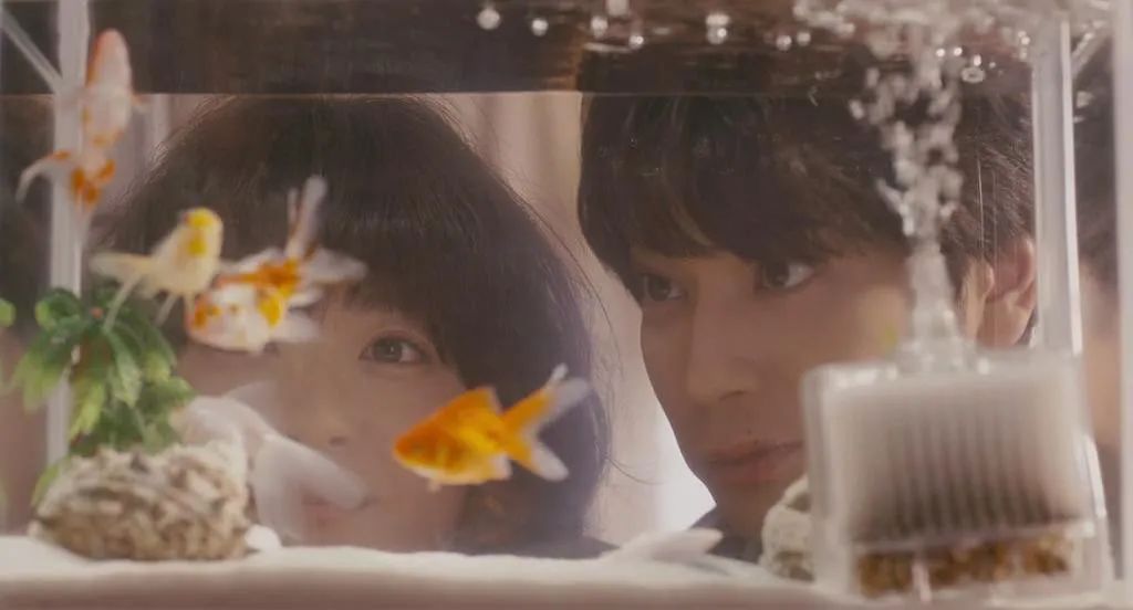 什么是合格的伴侣，来看ta们怎么说——