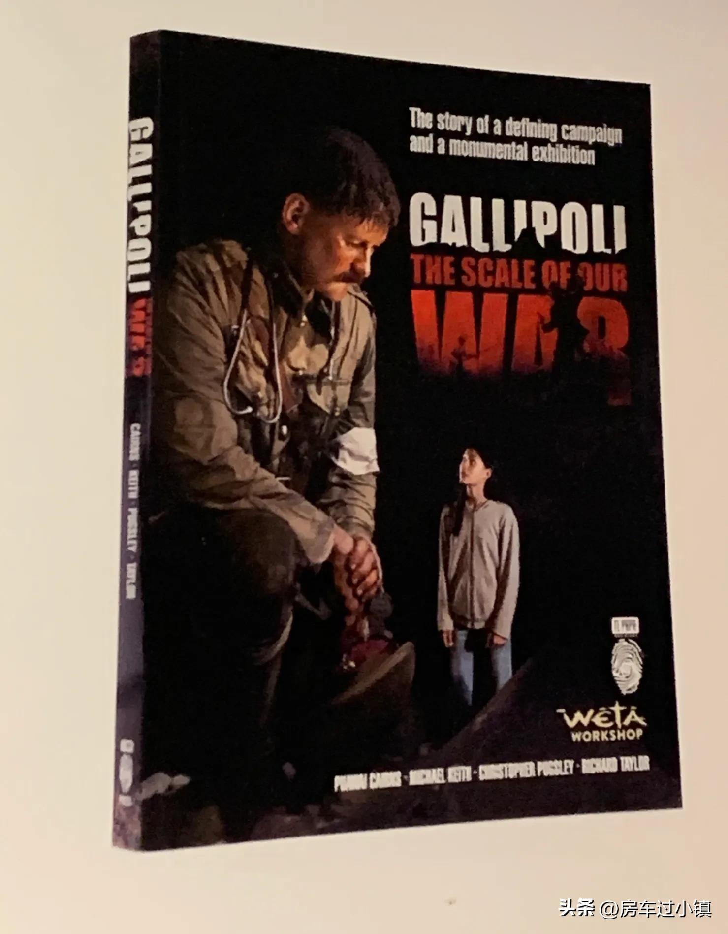 虞美人盛开AnzacDay——新手新车新西兰之八