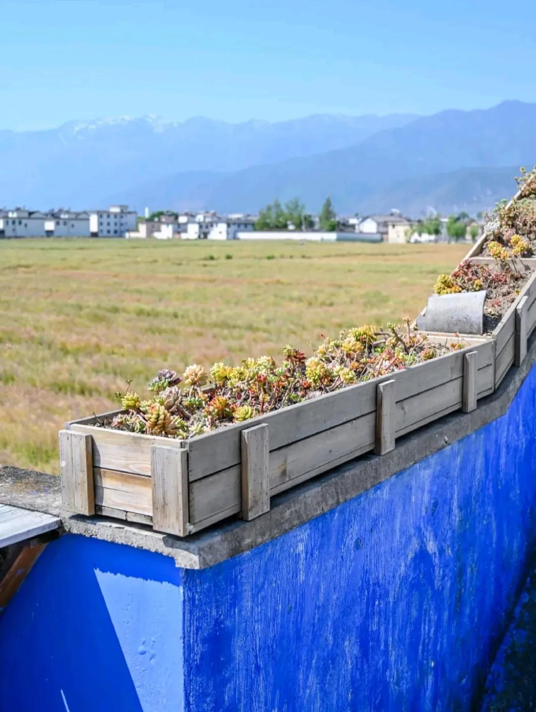 大理浪漫攻略,大理甜蜜网红打卡地