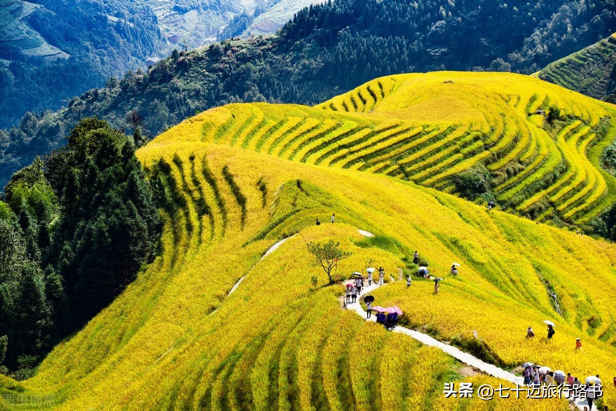 广西龙脊梯田旅行视频,龙脊梯田2020年国庆